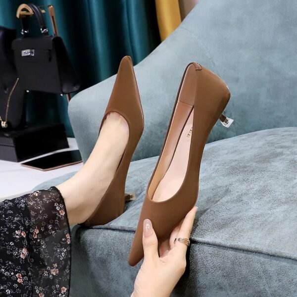 Bigtree Shoes 237-3 European and American Style Fashionable Simple Pedicure Banquet Mid Heel Women's Shoes Stiletto Low Mouth Pointed Spring Single-Layer Shoes