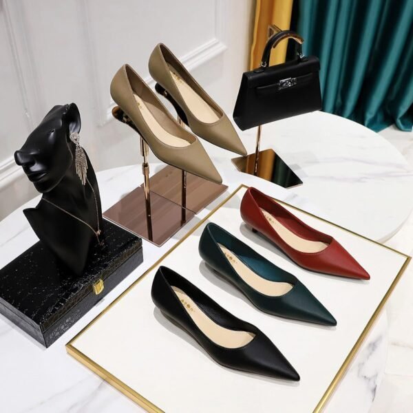 1722-1 Korean Style Spring and Autumn Ol Commuter Shoes Mid Heel Skim-Fit Stylish Low Heel Pointed Toe Shallow Mouth All-Matching Comfortable Women's Shoes