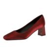 BIGTREE 6293 Spring and Autumn New French Elegant Fashion Single Shoes Square Toe Satin Thick Heel Shallow Plain Plain Mid-Heel Commuter Women's Shoes