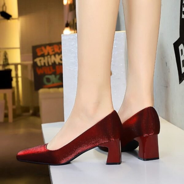 BIGTREE 6293 Spring and Autumn New French Elegant Fashion Single Shoes Square Toe Satin Thick Heel Shallow Plain Plain Mid-Heel Commuter Women's Shoes