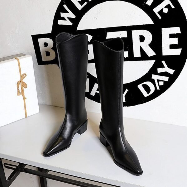 BIGTREE 578-8 European and American style fashion simple high top women's boots thick heel middle heel winter versatile high boots vintage knight boots