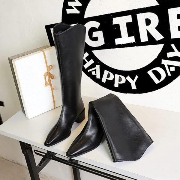 BIGTREE 578-8 European and American style fashion simple high top women's boots thick heel middle heel winter versatile high boots vintage knight boots