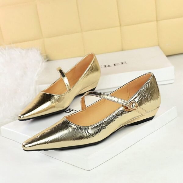 BIGTREE 3683-13 Fashion temperament women's shoes, shallow mouth European and American wind slope heel oblique word with decorative hand-scratched low-heeled single shoes