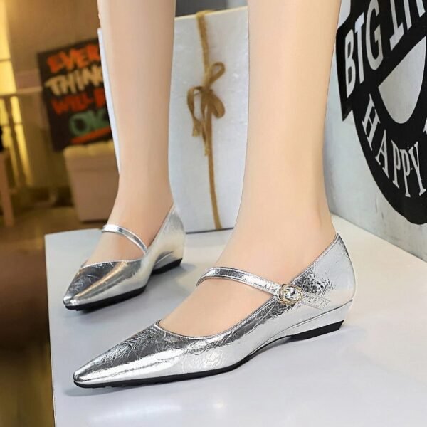 BIGTREE 3683-13 Fashion temperament women's shoes, shallow mouth European and American wind slope heel oblique word with decorative hand-scratched low-heeled single shoes