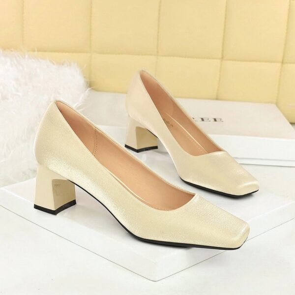 BIGTREE 6293 Spring and Autumn New French Elegant Fashion Single Shoes Square Toe Satin Thick Heel Shallow Plain Plain Mid-Heel Commuter Women's Shoes