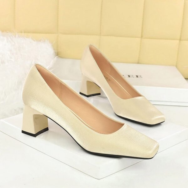BIGTREE 6293 Spring and Autumn New French Elegant Fashion Single Shoes Square Toe Satin Thick Heel Shallow Plain Plain Mid-Heel Commuter Women's Shoes