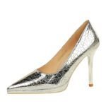 Bigtree Shoes 3255-5 European and American Style Retro Banquet Super High Heel Women's Shoes Stiletto Low-Cut Pointed Stone Pattern Shoes - Image 5