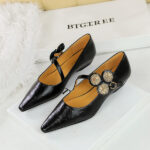 BIGTREE 3683-3K92 Vintage Mary Jane women's single shoes with metal decoration, light mouth, pointed toe, wedge heel, low heel single shoes - Image 7